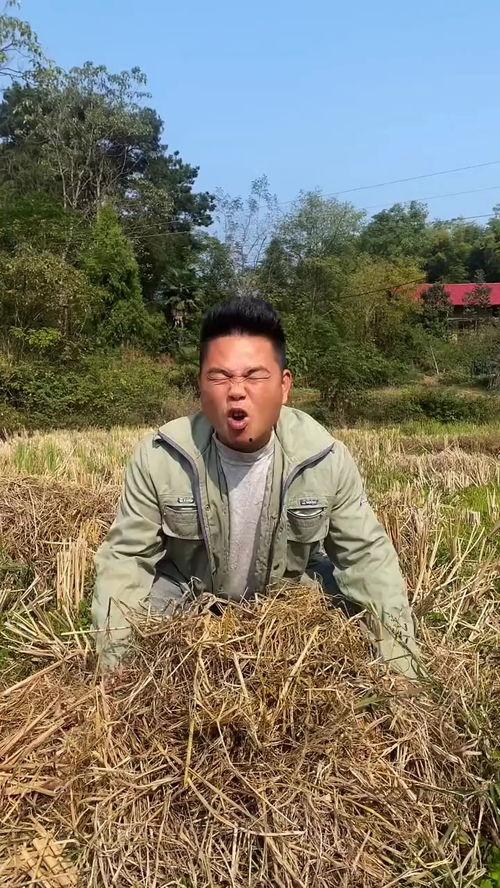 成人农村搞笑视频段子,搞笑视频段子集锦