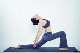 成人快速增高训练视频大全,视频大全解析