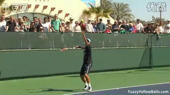 成人热身网球视频大全集,视频大全集深度解析