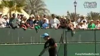 成人热身网球视频大全集,视频大全集深度解析