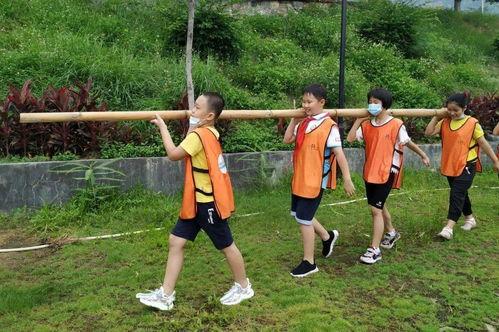 成人抬竹竿绕圈视频大全,绕圈竹竿舞视频集锦赏析