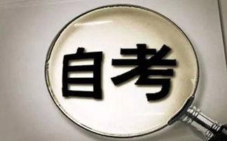 成人自考高能视频,高效学习新篇章