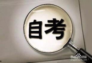 成人自考高能视频,高效学习新篇章