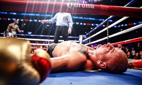 搏击虎成人推荐视频,揭秘实战技巧与健身之道