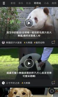 波波成人短视频,揭秘现代都市生活新潮流  第2张