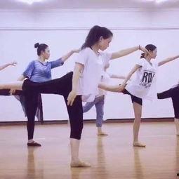 舞蹈视频成人教练班,轻松入门，舞动人生新篇章  第3张