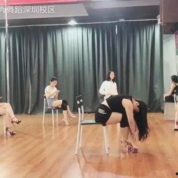 复古成人舞蹈视频教学,跟随经典成人舞蹈视频重拾时代风情  第3张