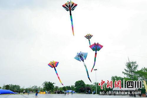 定做成人风筝教程视频  第2张