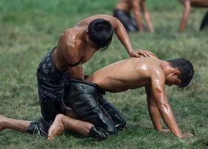 成人人体摔跤模型视频,成人人体摔跤技巧解析  第2张